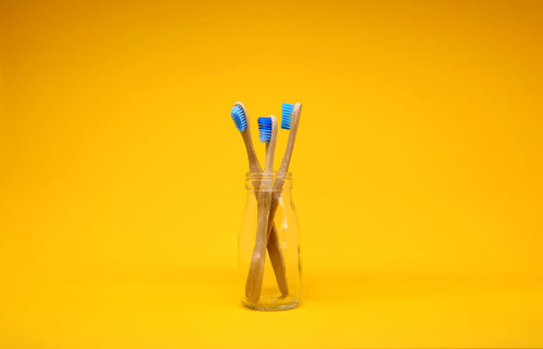 New Zealand Bamboo Toothbrush Quarterly Subscription - Toothcrush