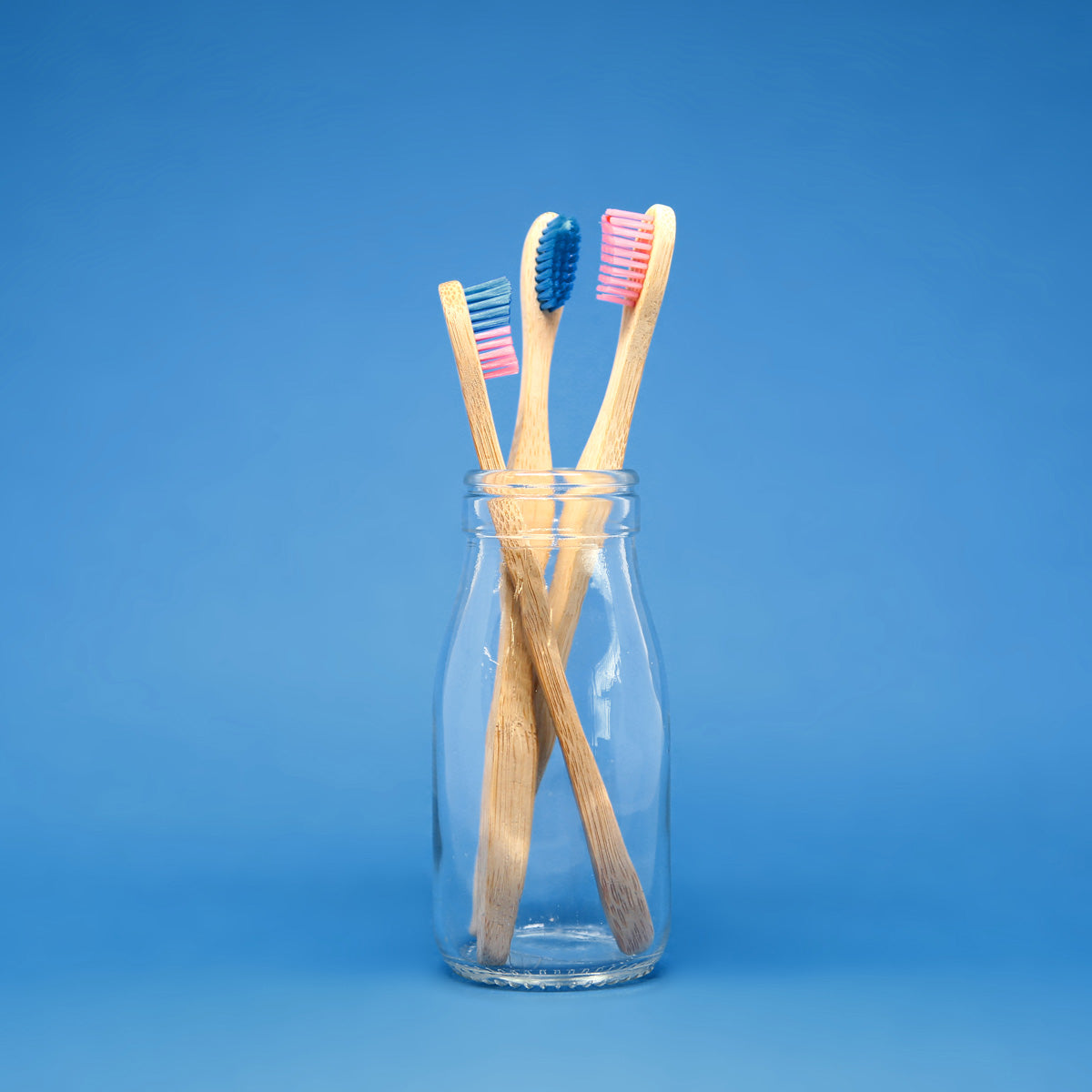 Toothcrush Bi-monthly Subscription - Toothcrush