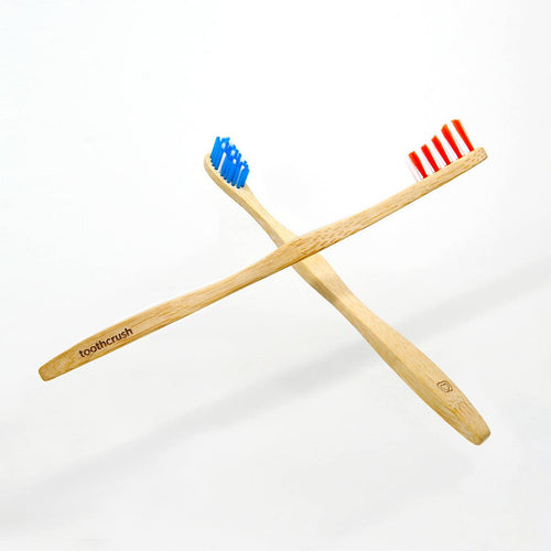 Toothcrush USA Bi-monthly Subscription - Toothcrush